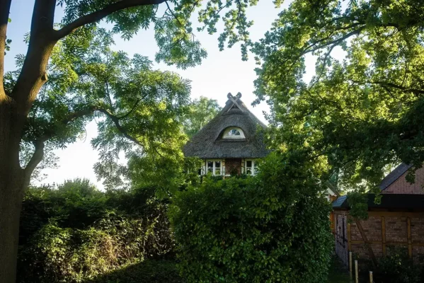 Historisches Hofgebäude von Gut Moor zwischen alten Bäumen