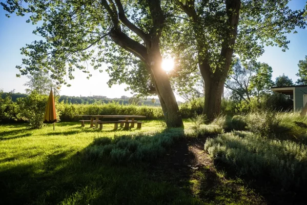 Garten unter alten Bäumen auf Gut Moor in Hamburg